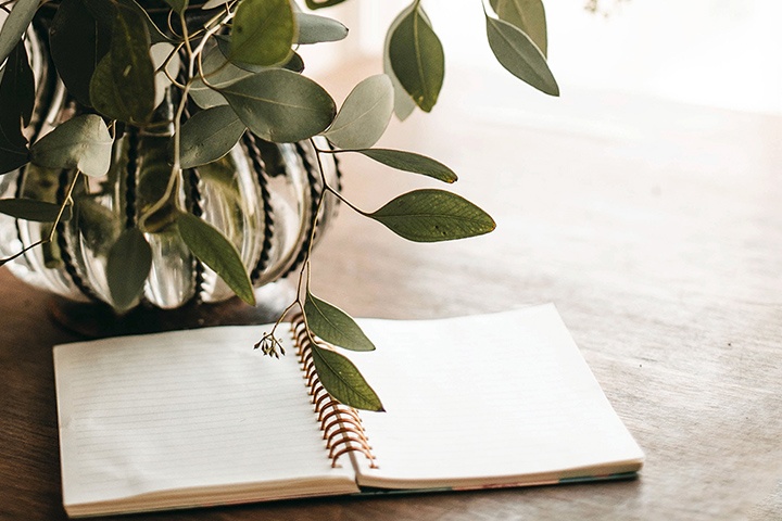 Open notebook for burial preplanning sitting on a table next to a plant