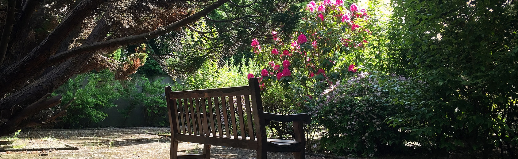 An empty bench next to beautiful flowers and greenery at a cemetery