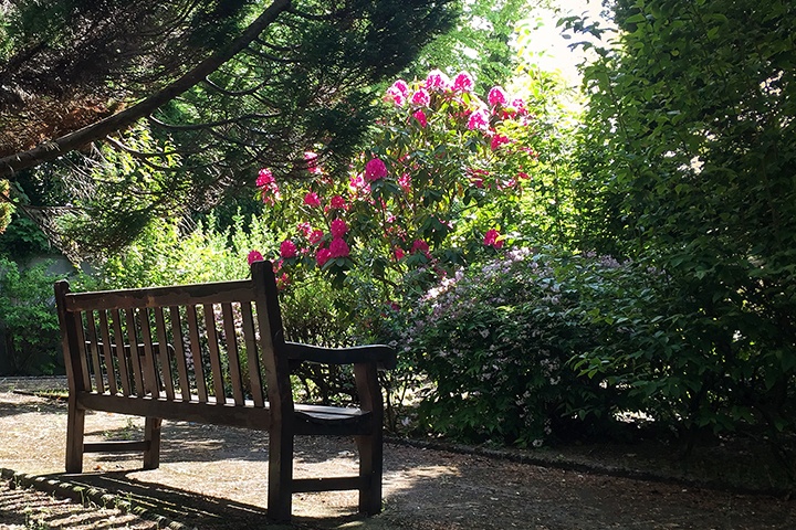 An empty bench next to beautiful flowers and greenery at a cemetery